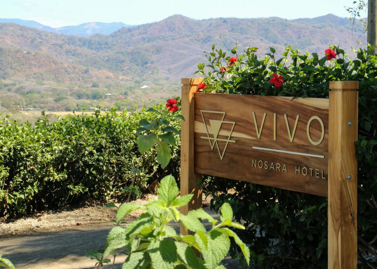 Vivo Nosara Hotel Ngoại thất bức ảnh